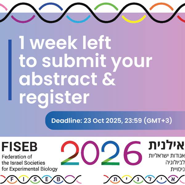 כנס אילנית 2026
